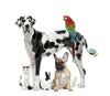 Pets and more
