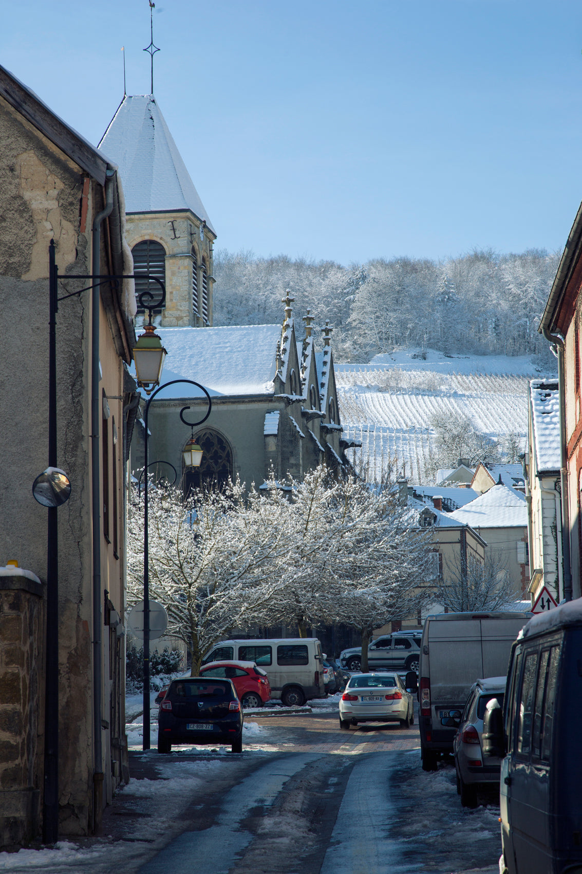 Rooted in the terroir
of the Côte des Blancs, we use small-scale
production methods that respect the land.
