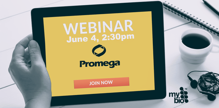 Webinar | June 4 | Studying Endogenous Protein Dynamics with CRISPR-Mediated