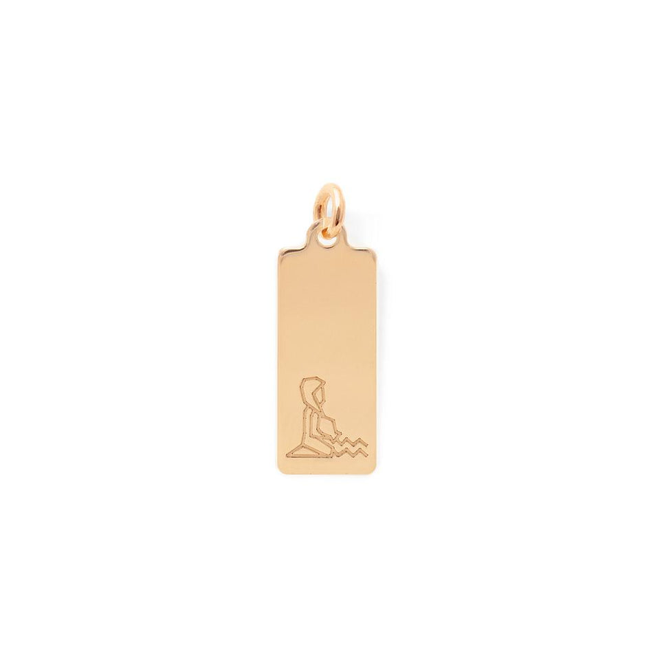 Make a Wish Aquarius Tag Pendant