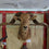 Goat/Ram Taxidermy