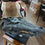 Bronze Crocodile (not taxidermy)