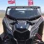 Frenched in Light Bar
