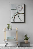 Plakat fra ViSSEVASSE med grøn cykel