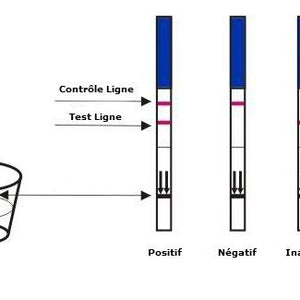 Lot de 5 tests de grossesse - 10 mIU/mL