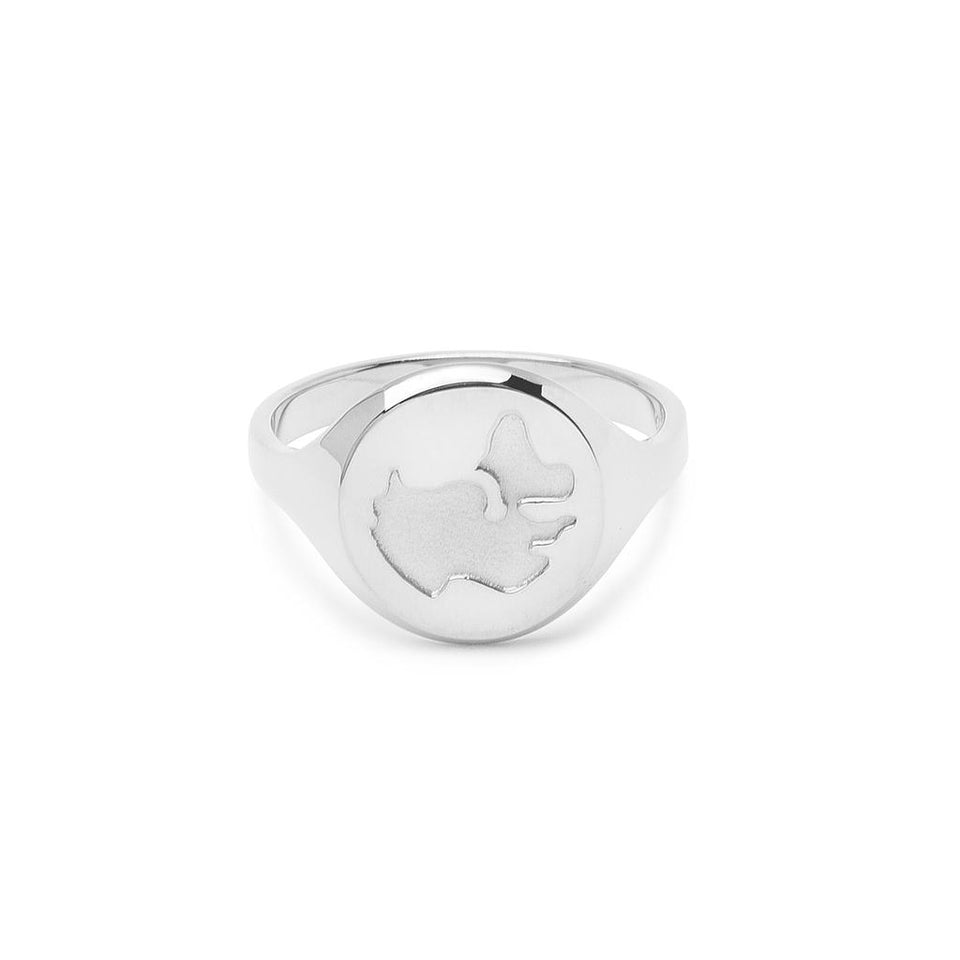 Worldmap Ring