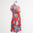 Joan Dress in Sunday Brunch by Karina Dresses