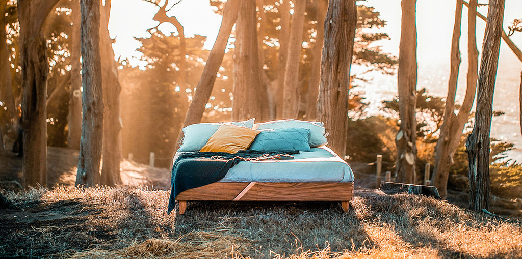 Where Craftsmanship Meets Forestry