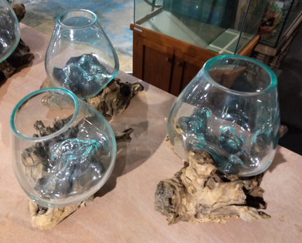 #blownglassfishtank #handblownglass #bettatanks #fishtankformothersday