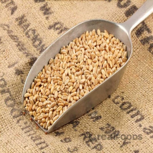 wheat-whole-1-kg-healthyorganic