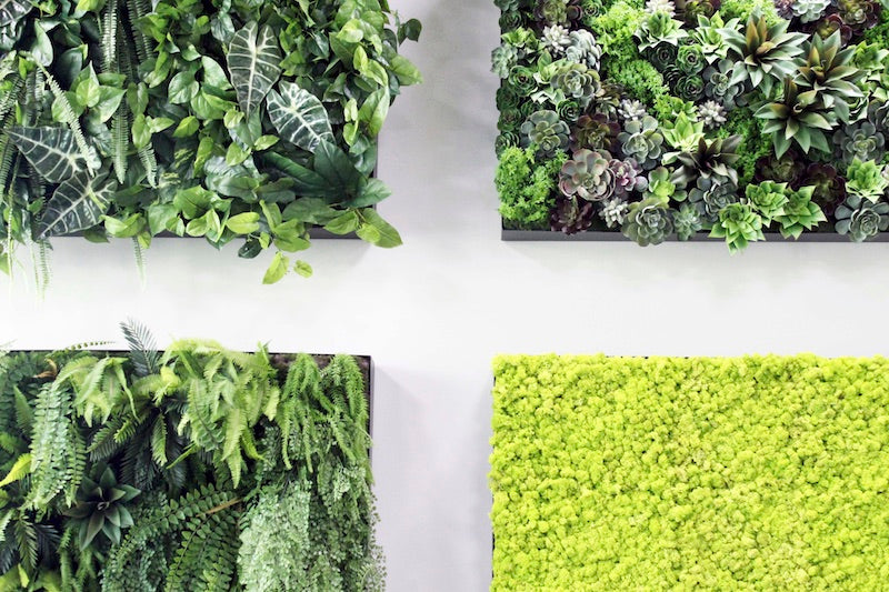 Using an Artificial Wall Garden in your home