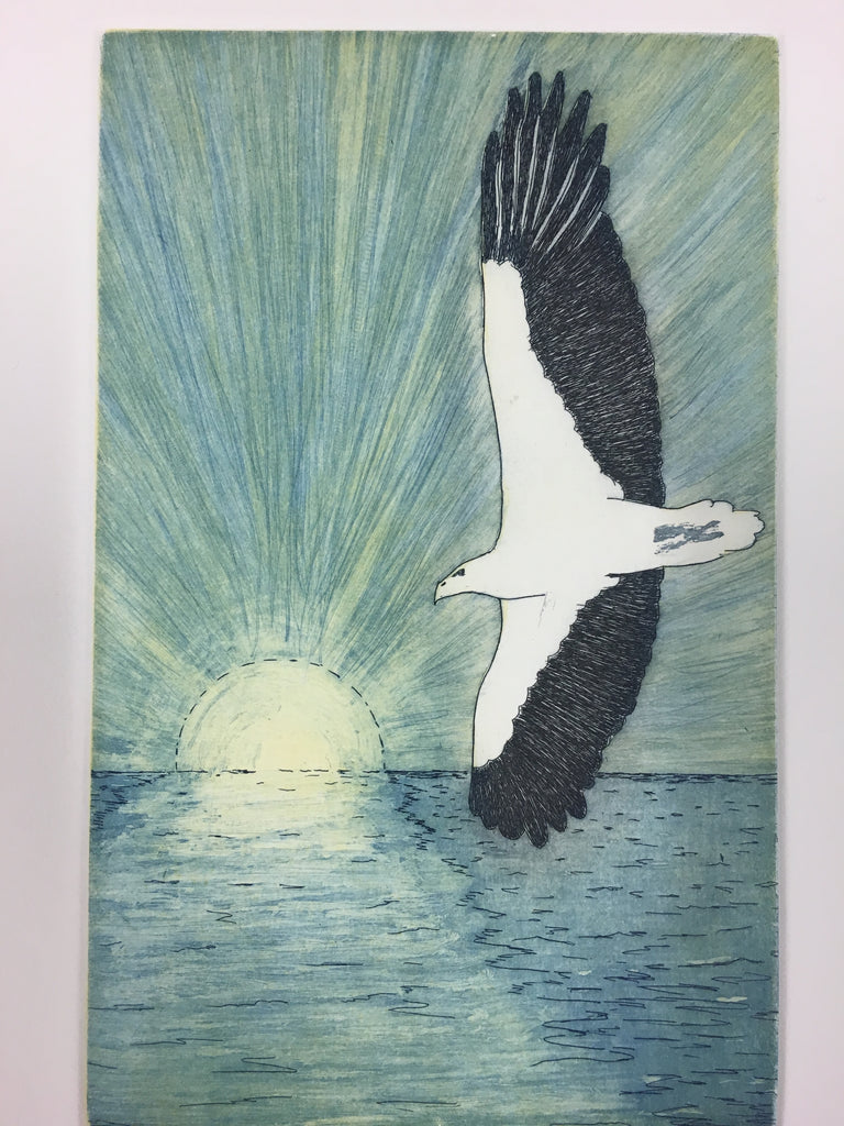 Darren Blackman 'Gangga (the white bellied sea eagle)