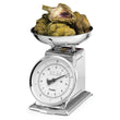 Professional Scale