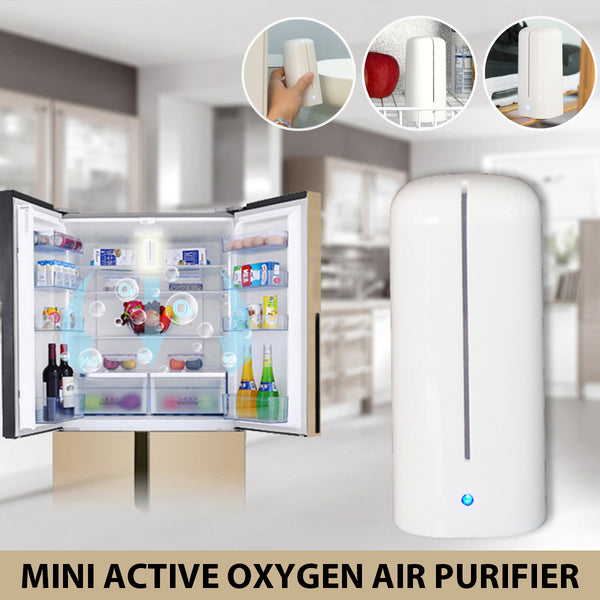 USB Portable Mini Air Purifier for Refrigerator, Closet & Outdoor, Reduce Odor, Mold Smoke & Dust