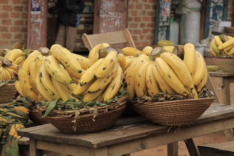 yellow plantains in baskets at the market