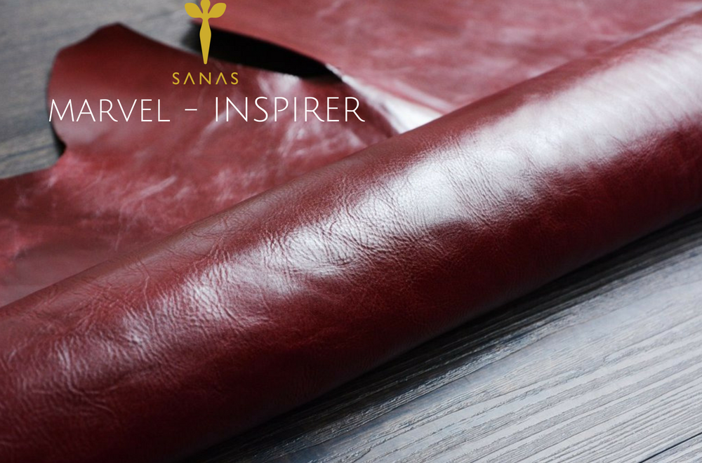 BLIS : PASSPORT HOLDER