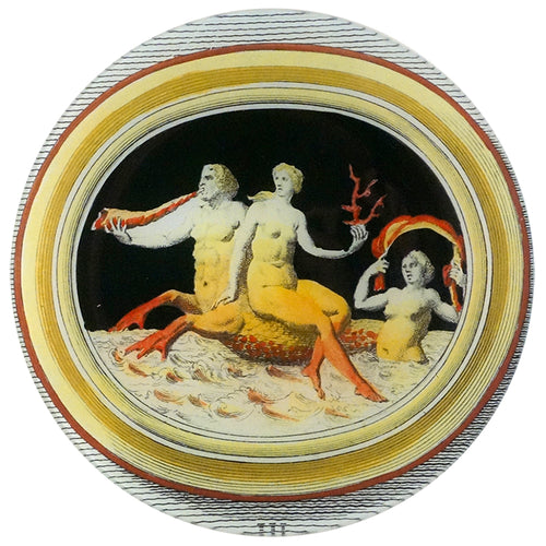 Iaspidi Chalced