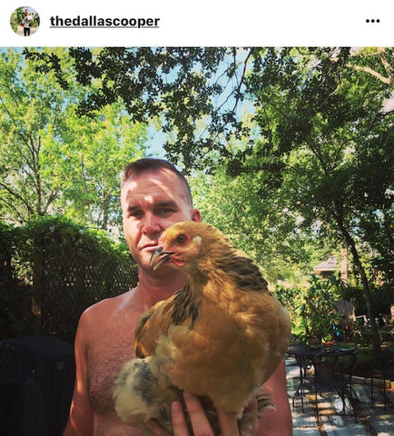 @thedallascooper IG chicken pet parents Chicken Moms & Dads of Instagram
