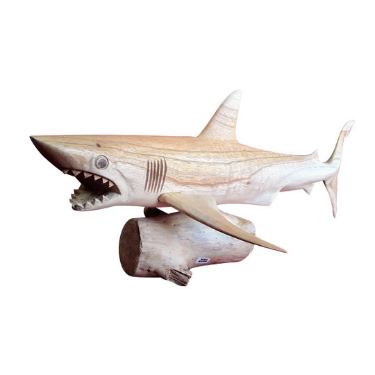 TIGER SHARK ON BASE, NATURAL, 20