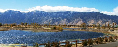 Fitness Equipment For Minden,Nevada