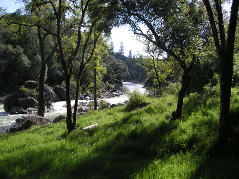 Fitness Equipment For Sierra City, California