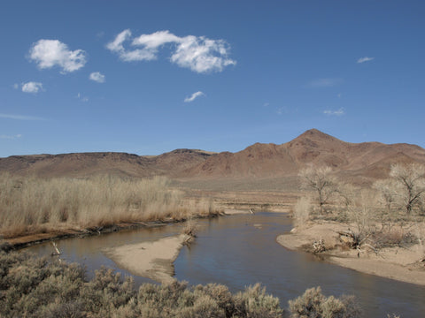 Fitness Equipment For Silver Springs, Nevada