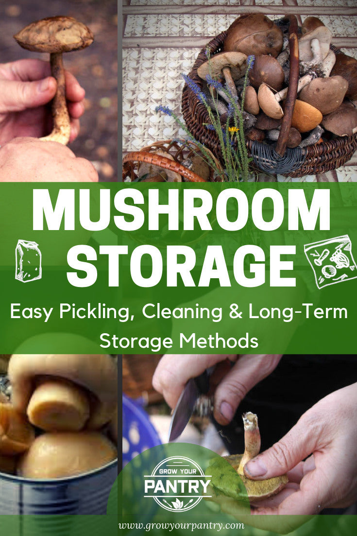 mushroom_storage_method_infographic