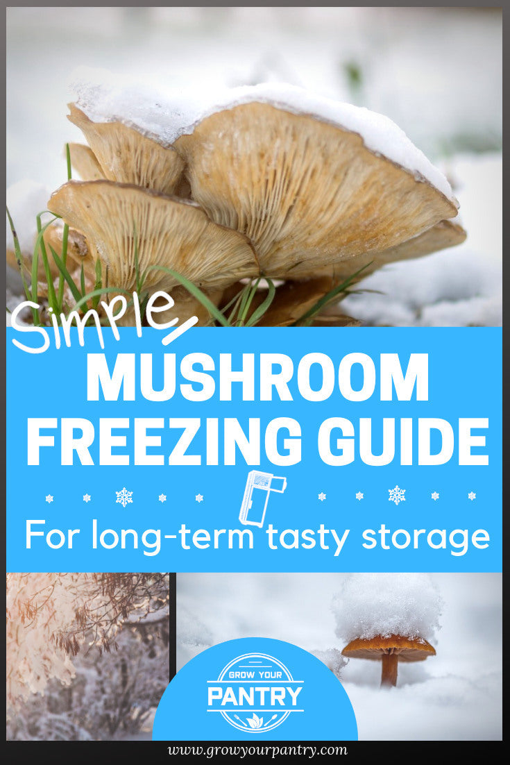 mushroom_freezing_guide_infographic