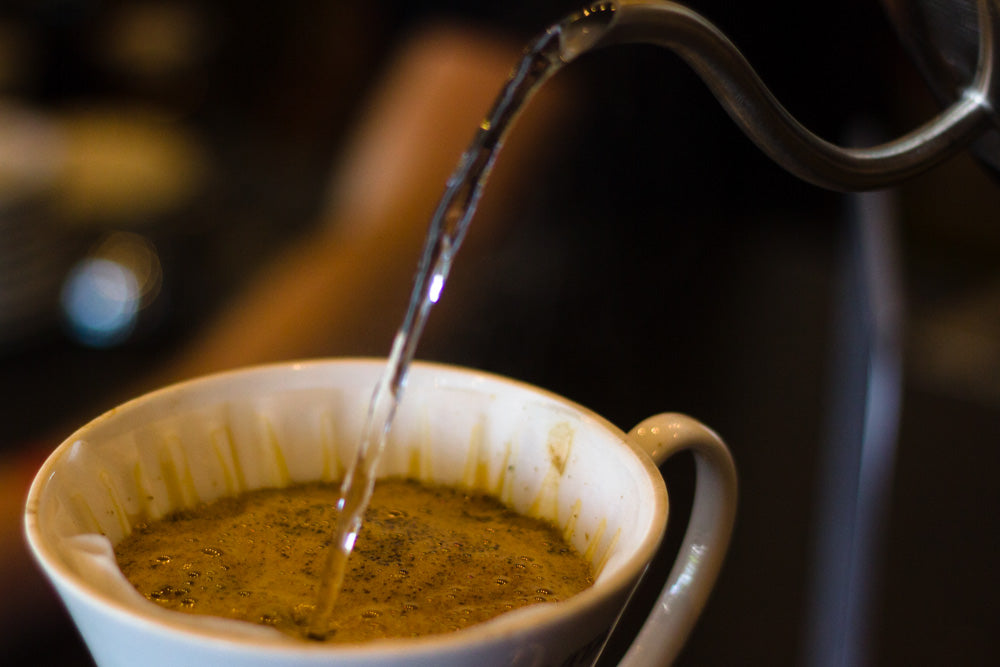Bonavita dripper: the easiest, most consistent brewing method