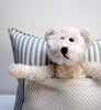 pocket pillow with bear