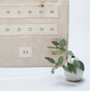 advent calendar