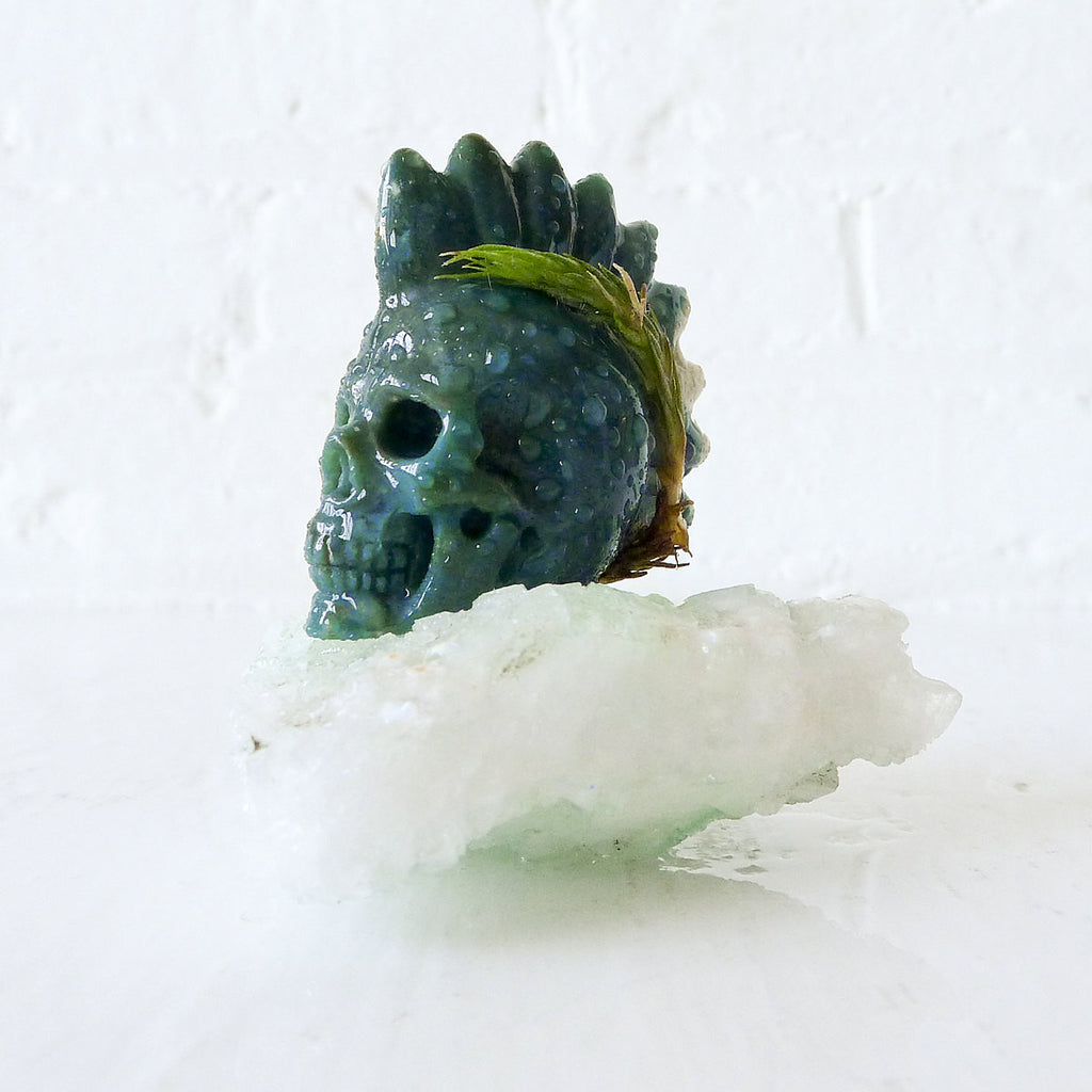 10% SALE Ocean Warrior Chief Air Plant Garden