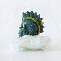 10% SALE Ocean Warrior Chief Air Plant Garden