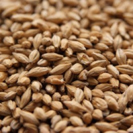 Avangard Malz Premium Pilsen Malt 1lb