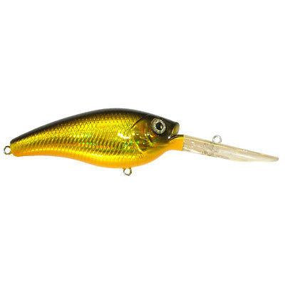 Black Back Gold