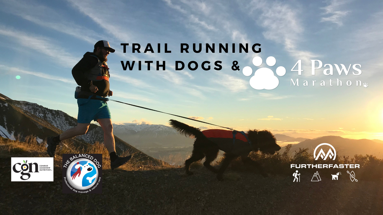 Trail running with dogs info