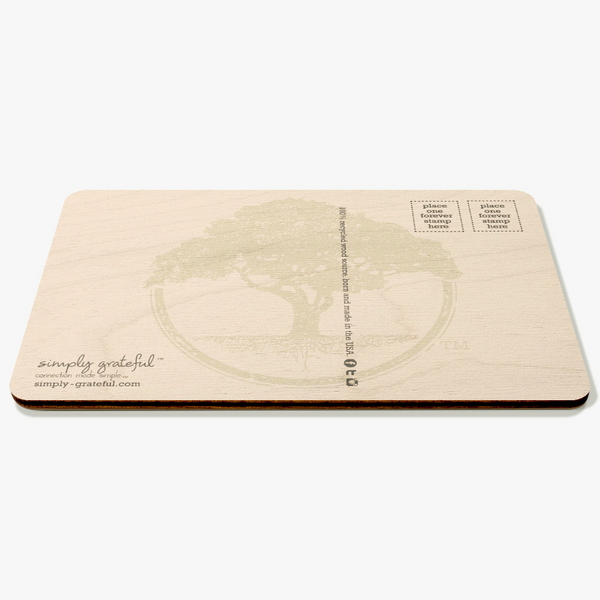 Salt Water Postcard