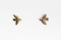 Tiny bird studs - brass