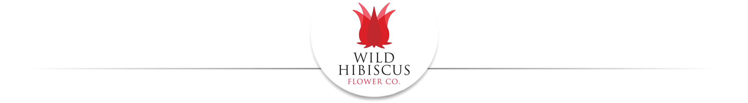 Wild Hibiscus Flower Co Wild Hibiscus Flower Co