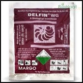 controlling fall army worm with organic baits