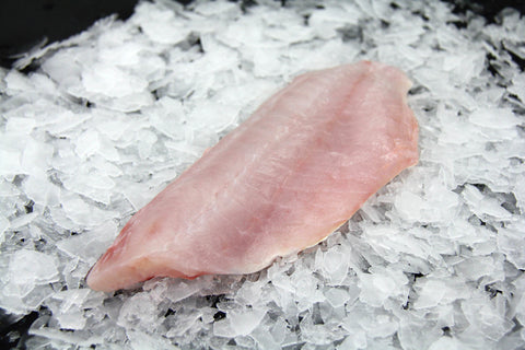 Fresh California Sheephead Fillet