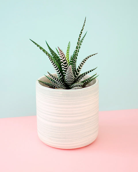 Swirled Ceramic Planter - Hesby