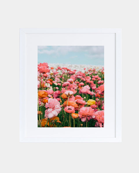 Flower Fields Forever Print - Hesby