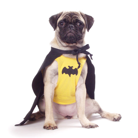 BatDog Costume Size XS