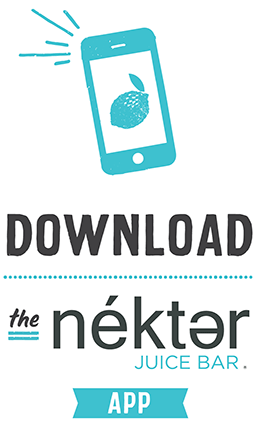 download-the-app