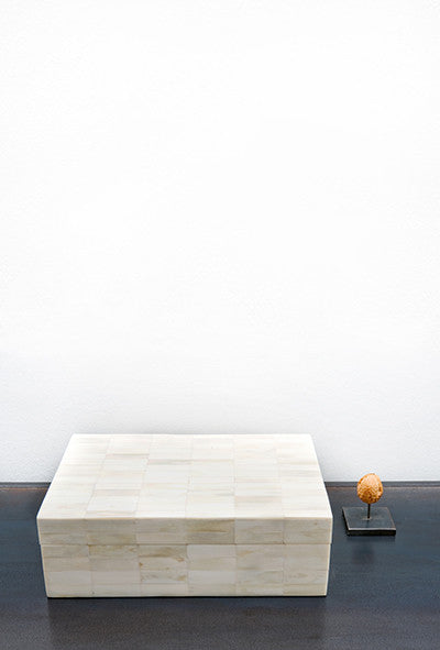 Cow horn box white