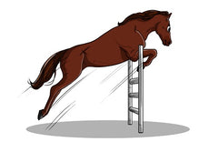 Facts & Benefits of CBD Oil for Horses