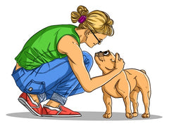 6 ways to control aggressive dogs | Innovet Pet