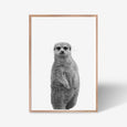 Meerkat animal wall art print black and white animal photography with oak frame
