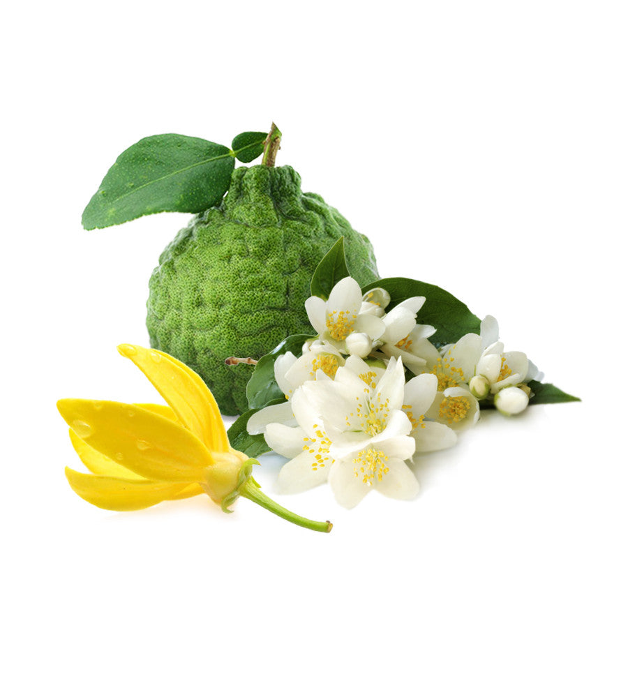 Turn Up The Heat Fragrance Oil (Jasmine, Bergamot & Ylang-Ylang)